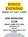 Bingo night - Friday 14th July