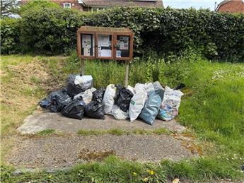 Litter Pick
