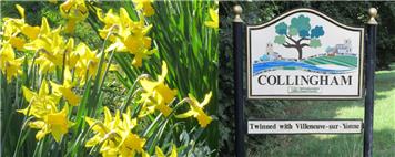 Overhead Electricity Line Works in Nottinghamshire
