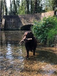 Please Support us in our Campaign Against Anti-social Behaviour