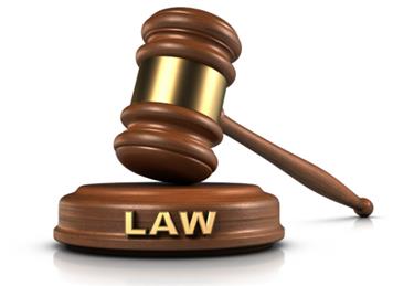 Dogs (Protection of Livestock) (Amendment) Act 2025