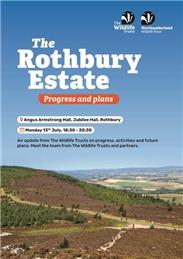 Rothbury Estate: Progress and Plans 13th July 2026