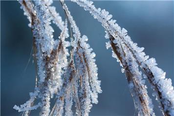 Shepherds Mount added to Secondary Treatment Network