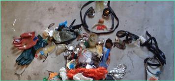 MOMAs are doing a Beach Clean