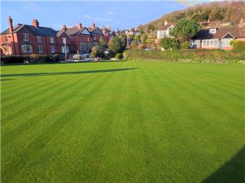 Lawn Mowing - Saturday 18th April