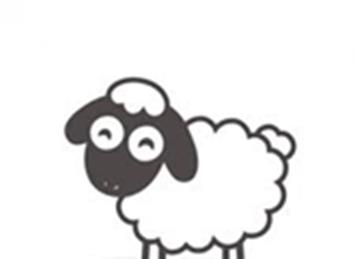  - Swaffham Sheep Fair 2018