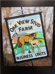 Traveller Drive Saturday 28th August