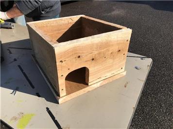  - Hedgehog Boxes for sale