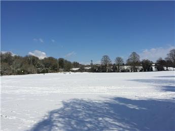 Latest update on Waste Collections, Road Gritting and Weather from SDC