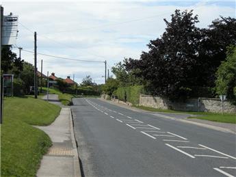 Garden Waste Services