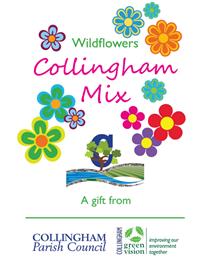 Wildflower Mix making a Buzz...