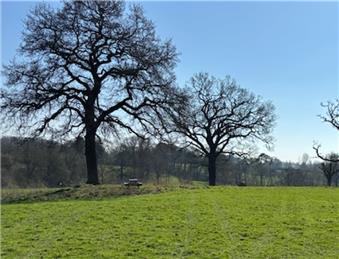New benches in Turnpike Field