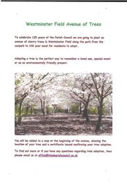 Adopt a Cherry Tree in Westminster Field