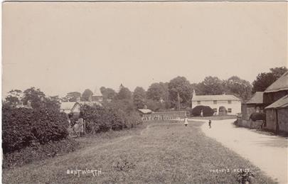 BENTWORTH - Holt End Lane, looking towards the Star c1905 - New Postcard added to website