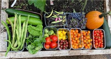 A Reminder to Allotment Holders at Oakfield Park