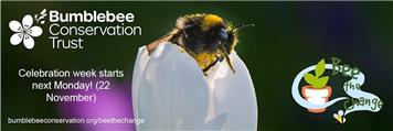 Help bumblebees over the colder months (and into next year) with a free Autumn/Winter guide