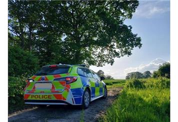 Hare Coursing