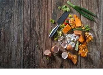 Food Waste Recycling Survey