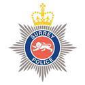 Surrey Police: Latest Alerts