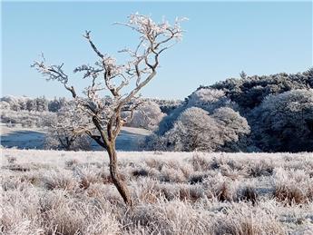 Examples news article 1