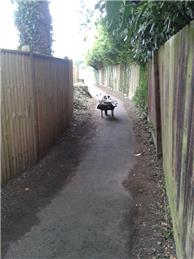 Hedge cutting and overhanging foliage