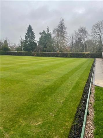 The hedge before removal - Club Improvements For 2021