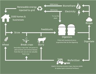 Update from Court Lodge Farm