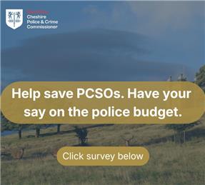 Policing precept 2026-27