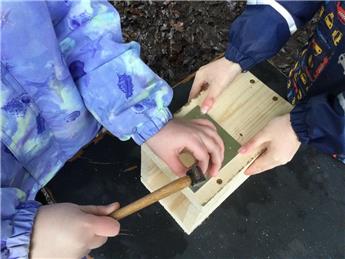 Bird Boxes on Turnpike Field!