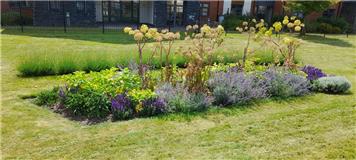 Tuesday 7th April 2026 NHS Commemorative Garden