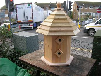 Looking after the birds!