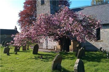 St Helens Church Flower Rota