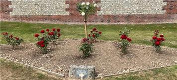 Thank You Bahnstormer