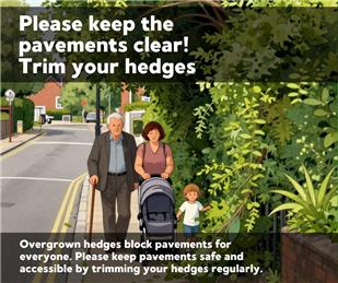 Hedges Reminder for residents