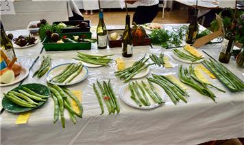 Offwell Flower & Produce Show