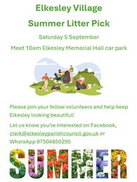 Summer Litter Pick