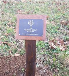 Queen's Green Canopy