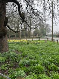 Baughurst is in Bloom!