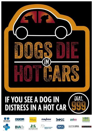  - Dogs Die in Hot Cars