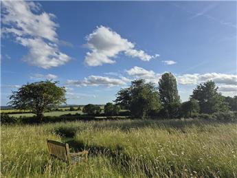 Contemplation Garden Scything Postponed