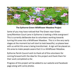 Wildflower Meadow Project, The Green, Eythorne