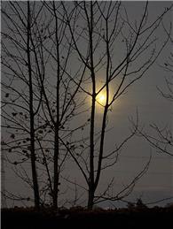 Waiting in Darkness