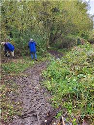 Monday 16th February 2026 Northcroft Meadows