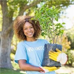 Volunteering Opportunities
