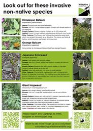 Invasive species in your parish