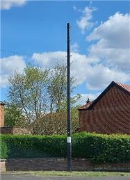 New Telegraph Poles  - Freedom Fibre