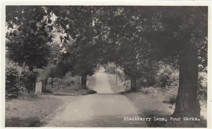 Blackberry Lane - Postmarked 14.7.1963 - New Postcards added to website