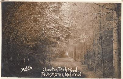 Chawton Park Wood- Postmarked 22.6.1915 - New Postcards added to website