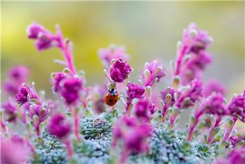 Photography Morning 