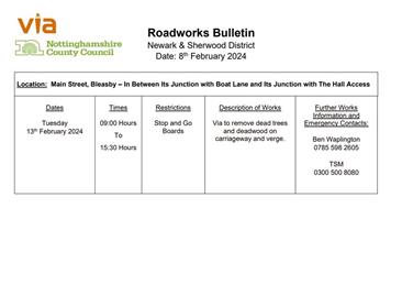  - Temporary Traffic signals on Main Street, Bleasby 13th Feb
